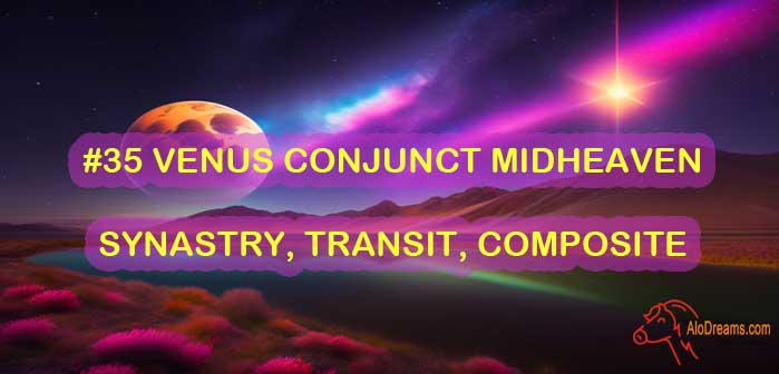 35 Venus Conjunct Midheaven Synastry Transit Composite 