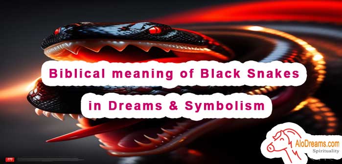 #79 Biblical meaning of Black Snakes in Dreams & Symbolism