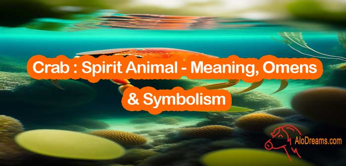 #21 Crab : Spirit Animal – Meaning, Omens & Symbolism