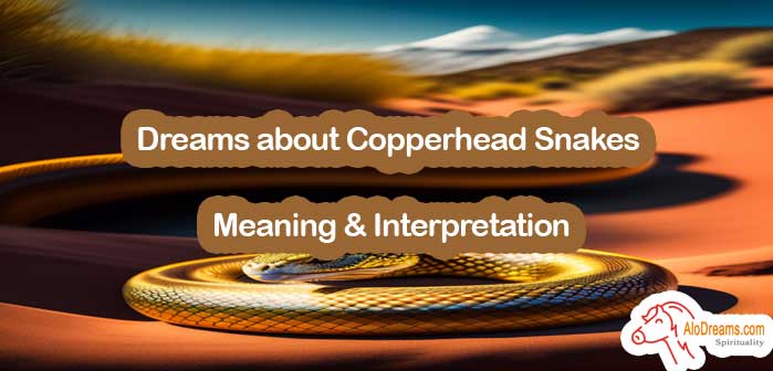 Dreams about Copperhead Snakes , Meaning & Interpretation