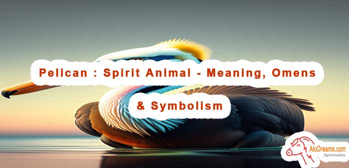 Pelican : Spirit Animal - Meaning, Omens & Symbolism