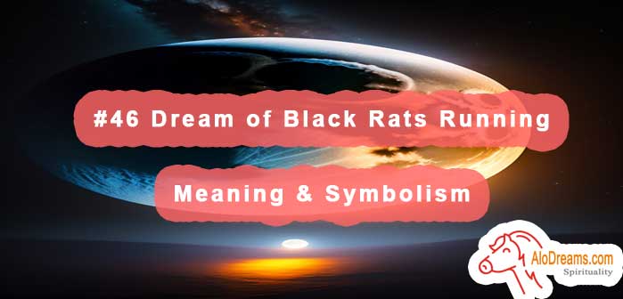 #46 Dream of Black Rats Running , Meaning & Symbolism