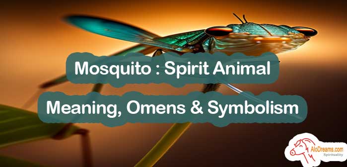 #35 Mosquito : Spirit Animal – Meaning, Omens & Symbolism