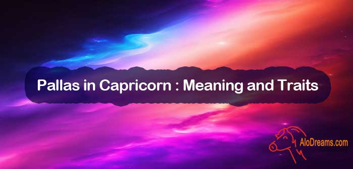 Pallas in Capricorn : Meaning and Traits