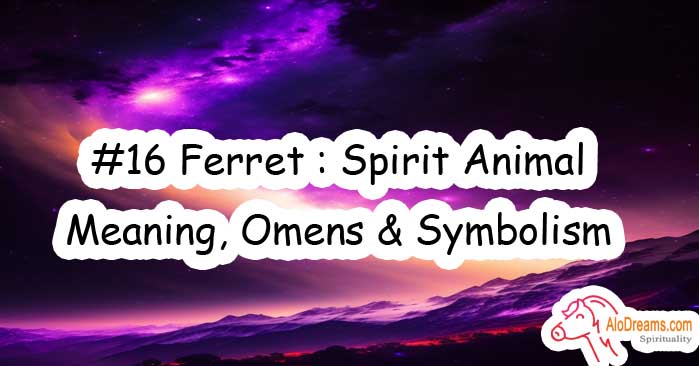 #16 Ferret : Spirit Animal - Meaning, Omens & Symbolism