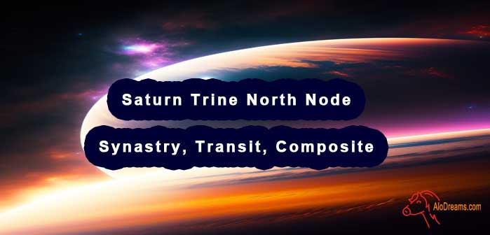 synastry trine north true node moon