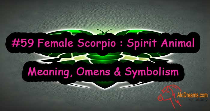 #59 Female Scorpio : Spirit Animal - Meaning, Omens & Symbolism