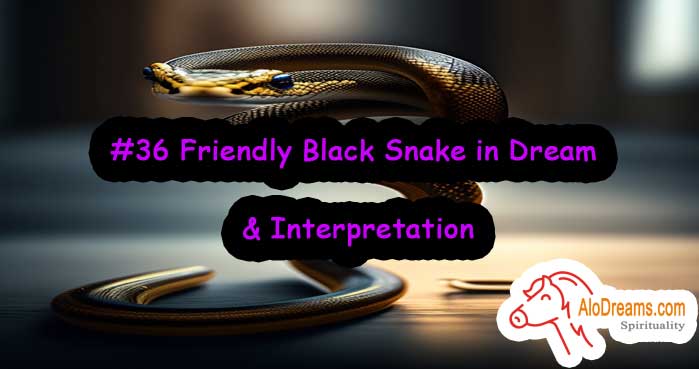 #36 Friendly Black Snake in Dream & Interpretation