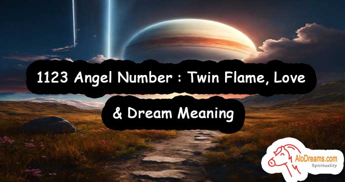 1123 Angel Number : Twin Flame, Love & Dream Meaning